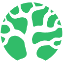 bonsai.io logo