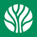 Elayne logo
