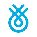 Flinks logo