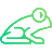Leap logo