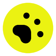 LowerPlane logo