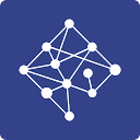Networkperspective logo