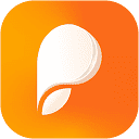 Persuva logo