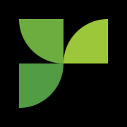 Responsive logo