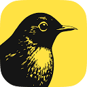 Birch logo