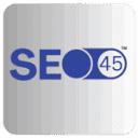 SEO45™ AI logo
