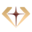 Tashvi logo