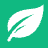 VisuaLeaf logo