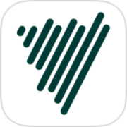 Voicenotes.com logo